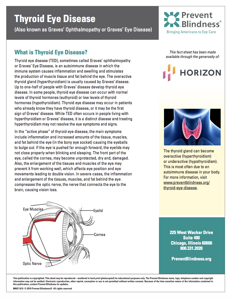 Thyroid Eye Disease